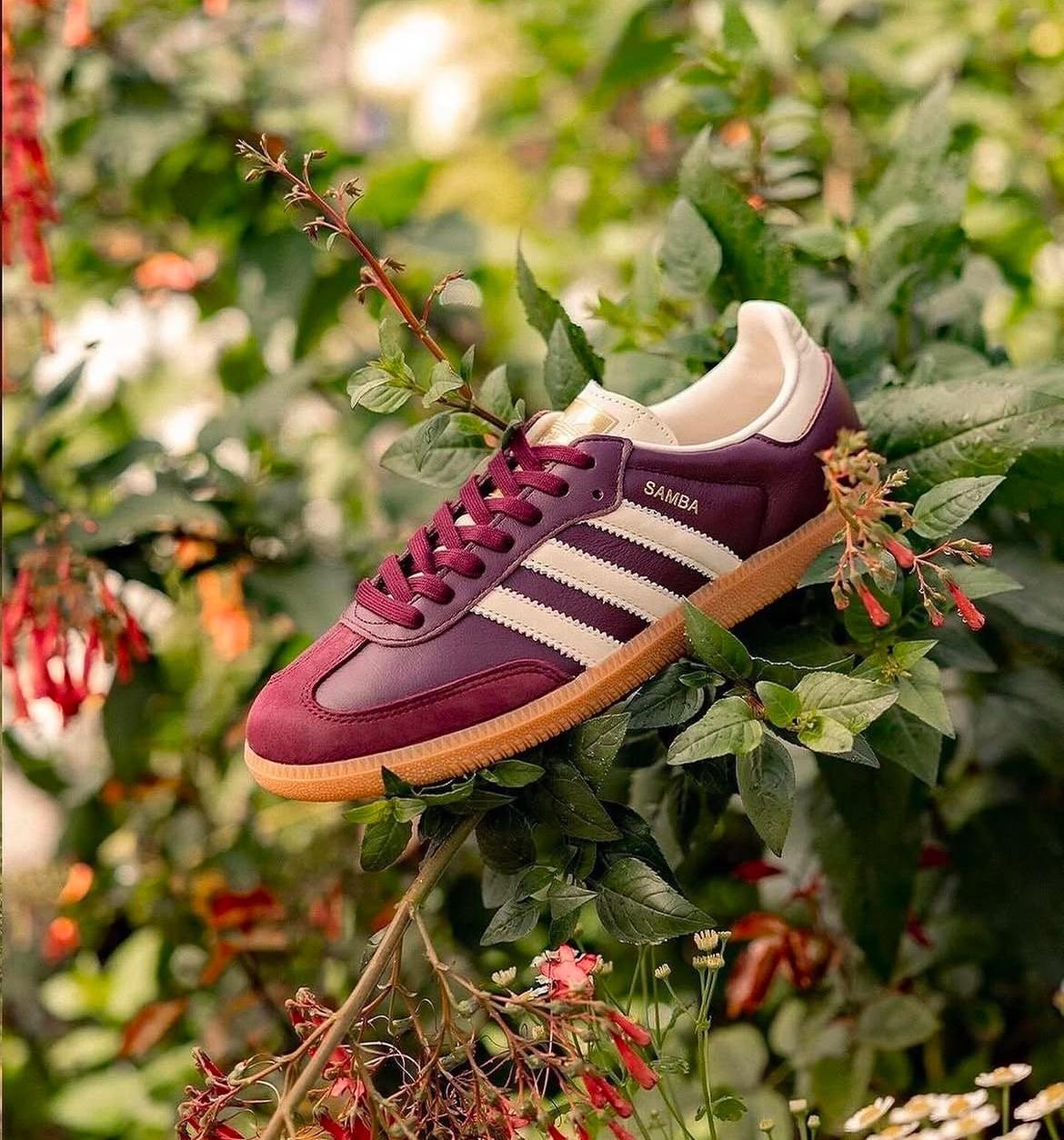 Adidas Samba